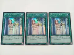 禁じられた聖衣　スーパー　遊戯王　3枚セット