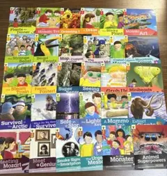 新品Usborne Money for Beginners 12冊英語絵本 洋書 - メルカリ