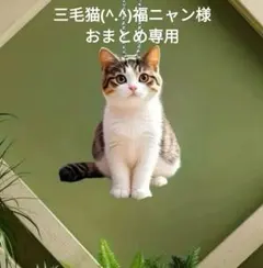 三毛猫(^.^)福ニャン様 リクエスト 3点 おまとめ商品