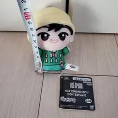 2025年最新】nctdream ちびぐるみ istjの人気アイテム - メルカリ