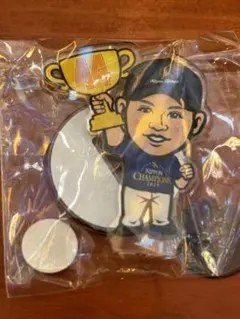 笹川真生グッズまとめ売り ホームページ – Mao sasagawa Official Site