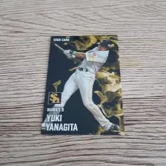 プロ野球チップス2025 スターカード 柳田悠岐