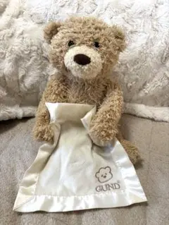 GUND Peek-A-Boo Bear ぬいぐるみのサムネイル