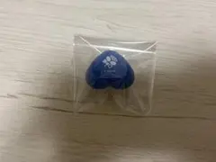 カラフルピーチ 東武動物公園 たっつん リングライト - メルカリ