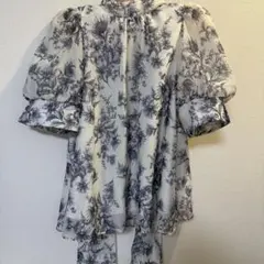 snidel Sustainableオーガンシースルーブラウス