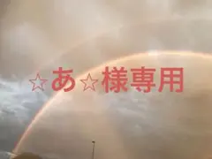 ⭐︎あ⭐︎様専用ページ