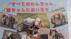 Item thumbnail for item 0a386801-c12b-4bdc-9b0f-b62a17dd4150