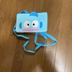 ハンギョドンポーチ