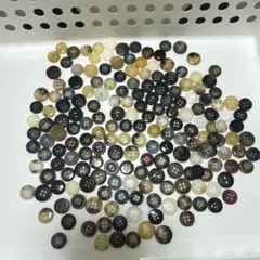 Item thumbnail for item 09cdbba5-4986-4cff-9694-2325e9a8ac5b