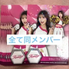 8枚 BBM チアリーダー 2026 Honeys SSU-YU スーユー