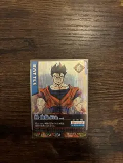 ドラゴンボール　データカード　孫悟飯