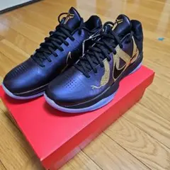 Item thumbnail for item 1965ba63-2195-4c5b-82da-fcd0cf51af75