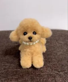 羊毛フェルト犬 マルチーズ トイプードル マルプー ぬいぐるみ #227
