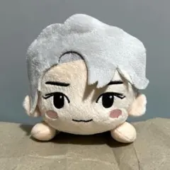 2025年最新】メンバー名：テヨン ぬいぐるみ・マスコットの人気