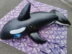 Item thumbnail for item 862ea81b-bad1-4379-a7b9-5996b6fd9ef5