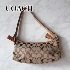 coach コーチ　バッグ アクセサリーポーチ シグネチャー 6371