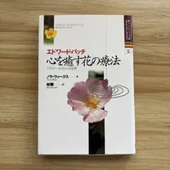 対人援助の福祉エートス : ソーシャルワークの原理とスピリチュア