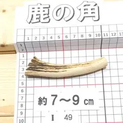 2026年最新】鹿の角加工の人気アイテム - メルカリ