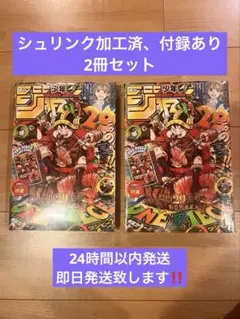 未開封付録カード付き 少年ジャンプ33号 ワンピース連載29周年記念 2冊