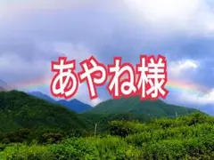 あやね様　山梨県産　訳あり　雪中リンゴ　葉とらずサンふじ　10kg