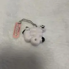 サンリオキャラクターズ　もじになっちゃった！？ マスコット ぽちゃっこ