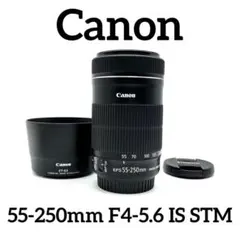 Item thumbnail for item 6a40d409-1cd4-42e6-8b3d-3bb63c2397e8