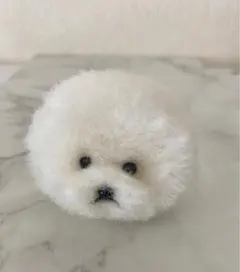 Item thumbnail for item 5b9f47f3-f62a-4390-b7bf-6c73abb61d03