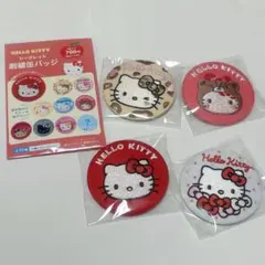 ハローキティ シークレット 刺繍缶バッジ