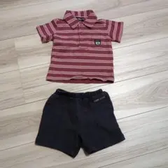 コムサイズム　上下セット　80サイズ