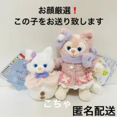 ディズニー　シークレットオブスノーウィーデイ　リーナベル　雪だるま　ぬいぐるみ