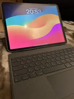 iPad Pro 12.9 1TB SIMフリー　スペースグレイ　第5世代