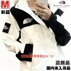 韓国　ノースフェイス　M マウンテンパーカー　ジャケット　ブルゾン　新品　正規品