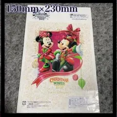 【新品未使用】東京ディズニーランド クリスマスグッズ 2015