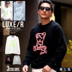 Item thumbnail for item 488e3c91-8a7c-4a12-833c-bf6774bc3a39