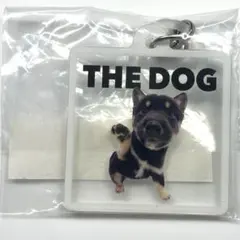THE DOG 黒柴　ガチャガチャ めじるしアクセサリー