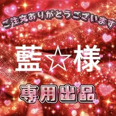 藍☆様　専用出品ページ