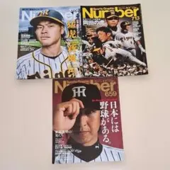 Item thumbnail for item 582a2444-4746-4039-b565-c0b6cc3f3535