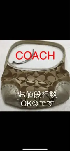 ⭐️COACH⭐️バック