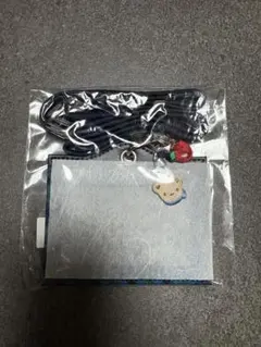 ☆新品未使用☆《ファミリア》ネームホルダー青系チェック