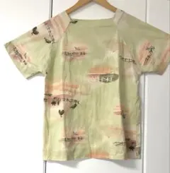 淡い緑色 鳥とフェンスのTシャツ