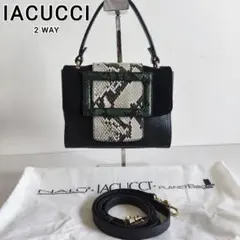 ⭐美品⭐ IACUCCI 2WAY ショルダーバッグ　レザー　パイソン