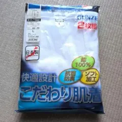 未使用未開封　グンゼ　長ズボン下（前あき）Lサイズ　2枚セット　快適設計