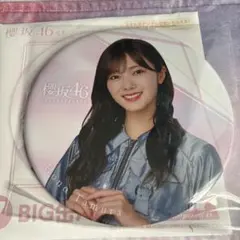 Item thumbnail for item 5d987a30-6b94-4af2-9ae3-4c69257a58f6