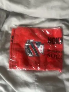 Item thumbnail for item 4ab84bd6-919f-4bc4-ae51-abfde18684c4