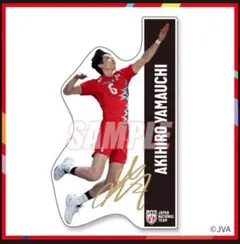 Item thumbnail for item fa4f2006-1017-4cd6-8384-19cbfa07afa2