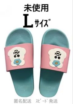 未使用完売品レアんぽちゃむシャワーサンダルLスリッパビーチ可哀想に！のサムネイル