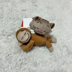 サッポロビール 志村犬 ドン シボリオーネ - メルカリ