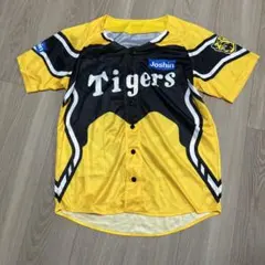 Item thumbnail for item 3b51a45b-abaf-4ccb-900f-0eb84beffe0c