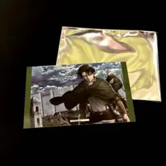 進撃の巨人 リヴァイ ビジュアルシート