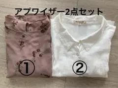 Item thumbnail for item 2accadf6-6f28-40e9-a377-cecf17bfb5c1